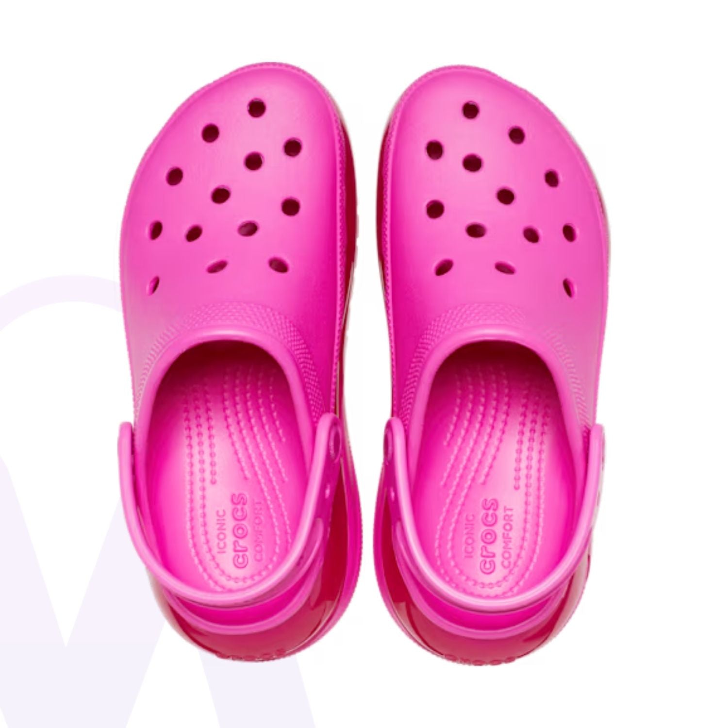 #color_fuchsia