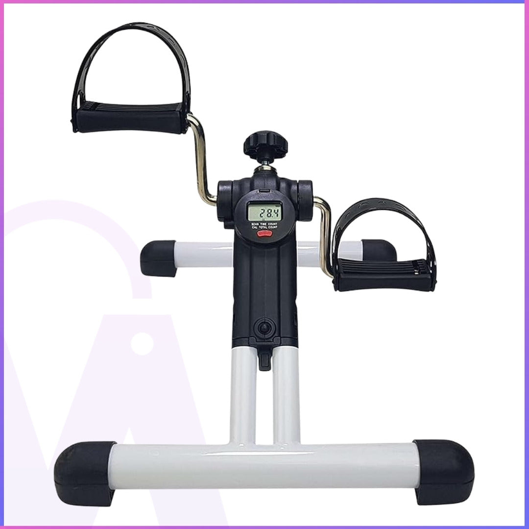 Portable Folding Electric Bike