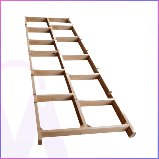 Foot Placement Ladder